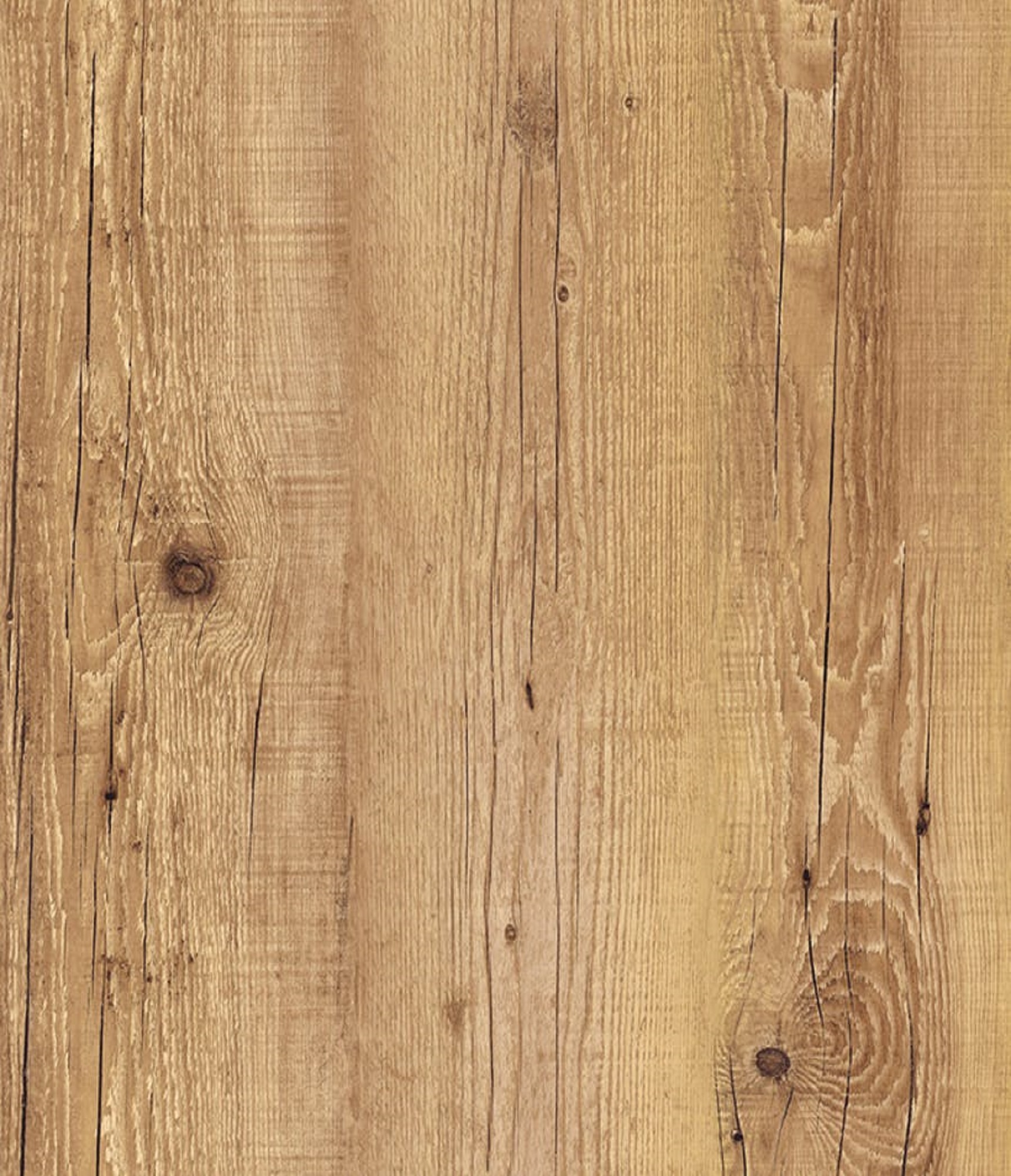 Antiqua Naturale